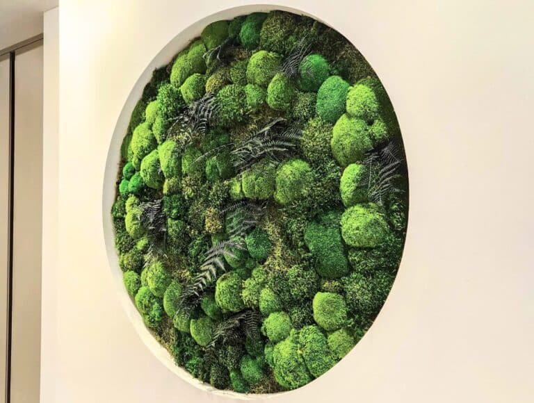 Biophilie Cercle