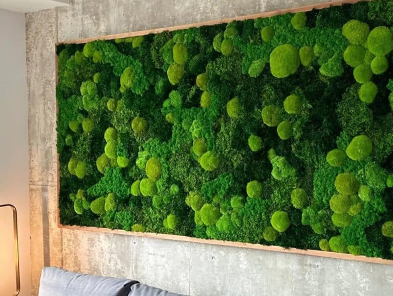 Biophilie Mur de mousse