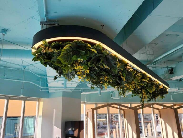 Biophilie Plafond 1